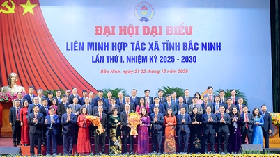 ការច្នៃប្រឌិតគំរូអភិបាលកិច្ចសហប្រតិបត្តិការឆ្ពោះទៅរកវិធីសាស្រ្តឌីជីថល បៃតង និងរង្វង់។