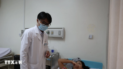 हो ची मिन्ह सिटी: ब्रेड खाने से फूड पॉइजनिंग के शिकार हुए 41 लोग।
