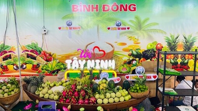 Tay Ninh se účastní speciálního regionálního zemědělského trhu v Ho Či Minově Městě.
