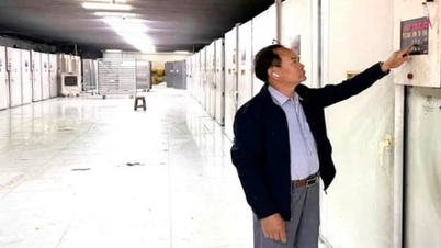 Công ty giống gia cầm Ngọc Mừng: Chất lượng làm nên thương hiệu