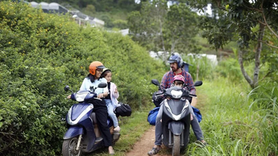 Tropic Riders menjadikan Southern Vietnam Motorbike Tours pilihan utama untuk lawatan motosikal.