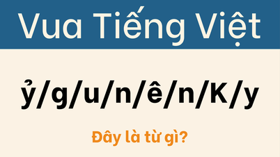 ใครกันแน่ที่มีคุณสมบัติเหมาะสมที่จะเป็น 'ราชาแห่งภาษาเวียดนาม'?