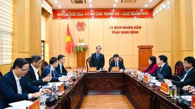 នៅត្រឹមថ្ងៃទី ៣១ ខែធ្នូ ការរៀបចំឡើងវិញនៃស្ថាប័នអប់រំត្រូវតែបញ្ចប់។ ស្ថាប័នដែលមិនបំពេញតាមស្តង់ដារត្រូវតែបញ្ចូលគ្នា ឬរំលាយចោលជាដាច់ខាត។