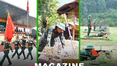 លើកកម្ពស់គុណសម្បត្តិរបស់ «ទាហានរបស់ពូហូ» ក្នុងដំណើរថ្មី។