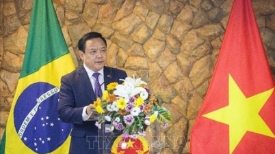 Ambassador Bui Van Nghi: Vietnam will achieve many outstanding diplomatic achievements in Latin America in 2025.