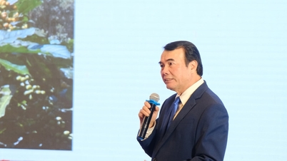 Budování udržitelných propojení pro globální kávový průmysl prostřednictvím Vietnamsko-světové kávové aliance.
