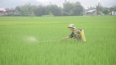 ការព្យាករណ៍អាកាសធាតុកសិកម្មជួយកសិករកាត់បន្ថយការខាតបង់ និងកាត់បន្ថយភាពក្រីក្រ។