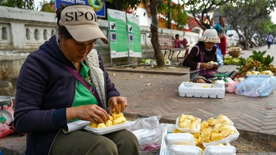 Kina kommer att tillåta import av färsk jackfrukt från Vietnam från och med den 1 juni 2026.