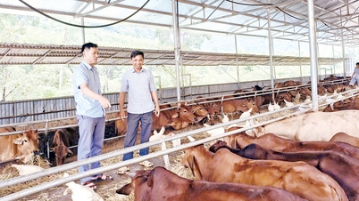 ឃុំសើនដុង៖ ច្នៃប្រឌិតផលិតកម្ម បង្កើតជីវភាពរស់នៅប្រកបដោយចីរភាព។