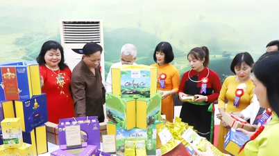 Over 9,600 women who are business owners, cooperative managers, or household business owners received capacity-building support.