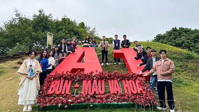 Promoting Dien Bien tourism on digital platforms.