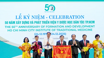 Hô Chi Minh-Ville développera fortement des modèles combinant médecine orientale et occidentale.