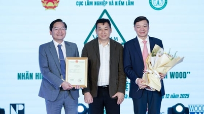 Sản phẩm gỗ lần đầu có định danh pháp lý cấp quốc gia