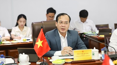 Lãnh đạo tỉnh Vĩnh Long tiếp và làm việc với Tập đoàn Sembcorp Industries Ltd
