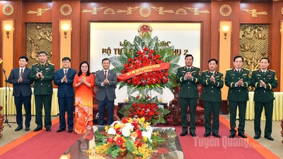 El presidente del Consejo Popular Provincial, Nguyen Van Son, visita y felicita al Comando de la Región Militar 2.