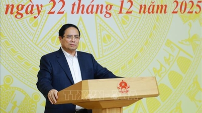 លោកនាយករដ្ឋមន្ត្រី ផាម មិញឈីញ បានអញ្ជើញជាអធិបតីក្នុងសម័យប្រជុំលើកទី១៦ នៃក្រុមប្រឹក្សាធ្វើត្រាប់តាម និងសរសើរមជ្ឈិម។