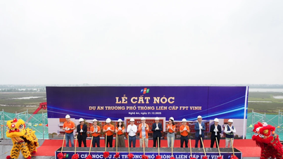 ក្រុមហ៊ុន FPT បានបញ្ចប់ការសាងសង់រចនាសម្ព័ន្ធដំបូលសម្រាប់គម្រោងសាលារៀនច្រើនកម្រិតជាបន្តបន្ទាប់នៅក្នុងខេត្តង៉េអាន និងតៃនិញ។