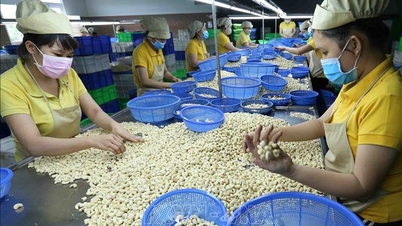Accroître la valeur ajoutée des produits agricoles exportés.
