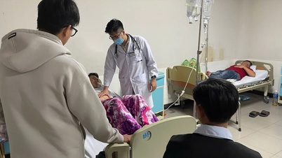 Food poisoning incident suspected to be caused by eating bread in Lam Dong: Salmonella bacteria detected.
