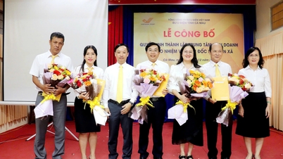 The Ca Mau Provincial Post Office is implementing the establishment of a Business Center and announcing the decisions regarding the appointment of the Director of the Commune Post Office.