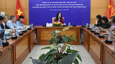 Établir un cadre politique pour le travail relatif aux Vietnamiens de l'étranger au cours de la nouvelle période.