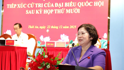 អ្នកបោះឆ្នោតនៅទីក្រុងហូជីមិញមានការព្រួយបារម្ភអំពីភាពស្មុគស្មាញកាន់តែខ្លាំងឡើងនៃឧក្រិដ្ឋកម្មបច្ចេកវិទ្យាខ្ពស់។