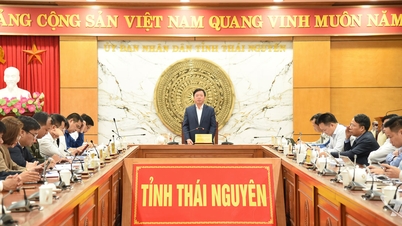 ខេត្ត Thai Nguyen បានត្រៀមខ្លួនរួចរាល់សម្រាប់សន្និសីទផ្តល់វិញ្ញាបនបត្រចុះបញ្ជីវិនិយោគ។