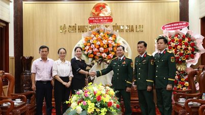 Phó Chủ tịch HĐND tỉnh Huỳnh Thúy Vân thăm, chúc mừng cán bộ, chiến sĩ Bộ CHQS tỉnh Gia Lai