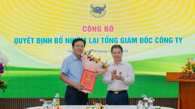Ông Ngô Văn Đông tiếp tục giữ chức Tổng giám đốc Công ty phân bón Bình Điền