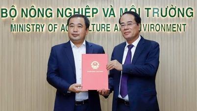លោក តាំង ធឺ គឿង កាន់តំណែងជាប្រធានមន្ទីរបរិស្ថាន។