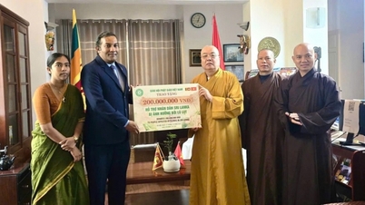 សមាគមពុទ្ធសាសនាវៀតណាមកំពុងគាំទ្រដល់កិច្ចខិតខំប្រឹងប្រែងស្តារឡើងវិញពីគ្រោះមហន្តរាយនៅប្រទេសស្រីលង្កាតាមរយៈស្ថានទូតស្រីលង្កាប្រចាំនៅប្រទេសវៀតណាម។