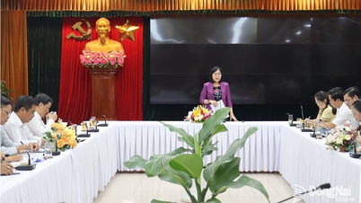 ការព្យាករណ៍បង្ហាញថា នៅឆ្នាំ២០២៦ គម្រោងសំខាន់ៗនៅភាគខាងត្បូងនឹងត្រូវការសម្ភារៈសំណង់ជាង ១៥ លានម៉ែត្រគូបពីខេត្តដុងណៃ។