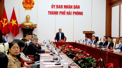Bộ Tư pháp tổng kết công tác tư pháp năm 2025, nhiệm kỳ 2021-2025; định hướng công tác nhiệm kỳ 2026-2030 và triển khai nhiệm vụ trọng tâm năm 2026