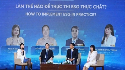 Making ESG a 'passport' to enhance business competitiveness.