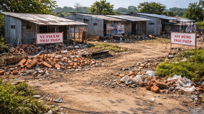 Proposal to issue land ownership certificates for land that was illegally occupied before July 1, 2014.