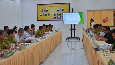 एन जियांग ने 2026 के लिए वन अग्नि निवारण एवं नियंत्रण योजना का आकलन किया।