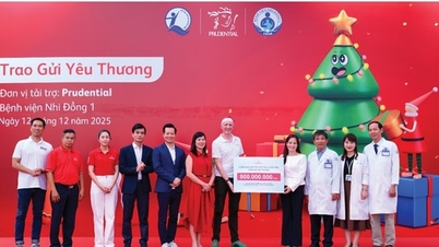 Prudential telah mengagihkan 2,600 hadiah Krismas kepada pesakit kanak-kanak di Bandar Raya Ho Chi Minh dan Hanoi.