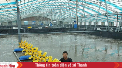 ធានាការផ្គត់ផ្គង់អាហារសមុទ្រយ៉ាងសកម្មសម្រាប់ទីផ្សារបុណ្យតេត។