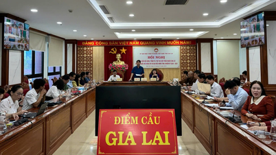 Gia Lai: Guidelines on the content, sequence, and procedures for nominating candidates for the National Assembly and Provincial People's Council.