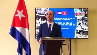 Cuba octroie 15 bourses d'études à des étudiants vietnamiens.