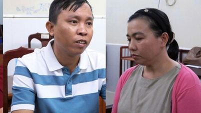 Khởi tố giám đốc công ty trốn thuế, gây thiệt hại ngân sách nhà nước hơn 18 tỷ đồng