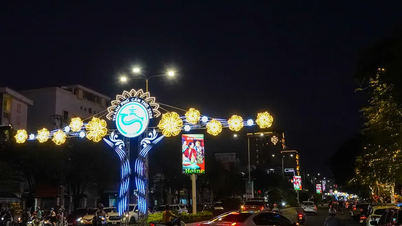 2026年の新年を前に、カントー市の街路は明るく照らされている。