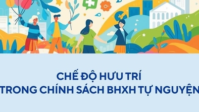 Bảo hiểm xã hội tự nguyện: “Lưới đỡ” an sinh vững chắc cho lao động tự do