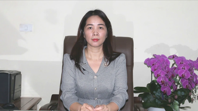 Nguyên tắc sắp xếp, sáp nhập trường lớp của tỉnh Lào Cai