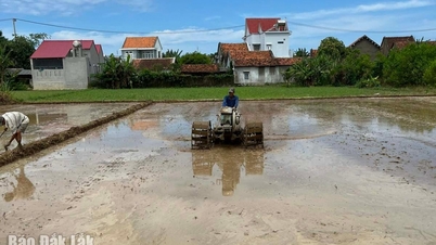 Khẩn trương giải quyết khó khăn, sẵn sàng cho vụ Đông Xuân 2025 - 2026