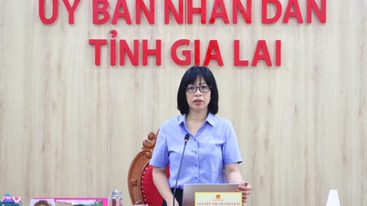 Khẩn trương triển khai nhiệm vụ tổ chức Năm Du lịch quốc gia - Gia Lai 2026