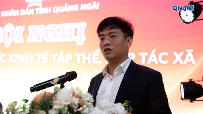 Entwicklung kollektiver und genossenschaftlicher Wirtschaftstätigkeiten im westlichen Quang Ngai.