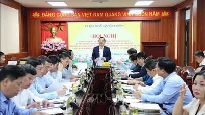 ផ្តល់អាទិភាពដល់ការតាំងទីលំនៅថ្មី ដើម្បីពន្លឿនការឈូសឆាយដីសម្រាប់អាកាសយានដ្ឋាន Gia Binh។