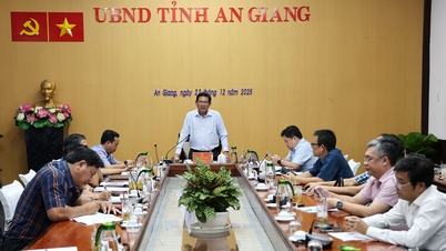 Vice Chairman of An Giang Provincial People's Committee Ngo Cong Thuc works on key transportation projects.