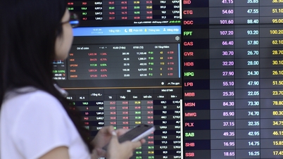 นักลงทุนกำลังขายหุ้นที่เกี่ยวข้องกับ Shark Hung หรือไม่?